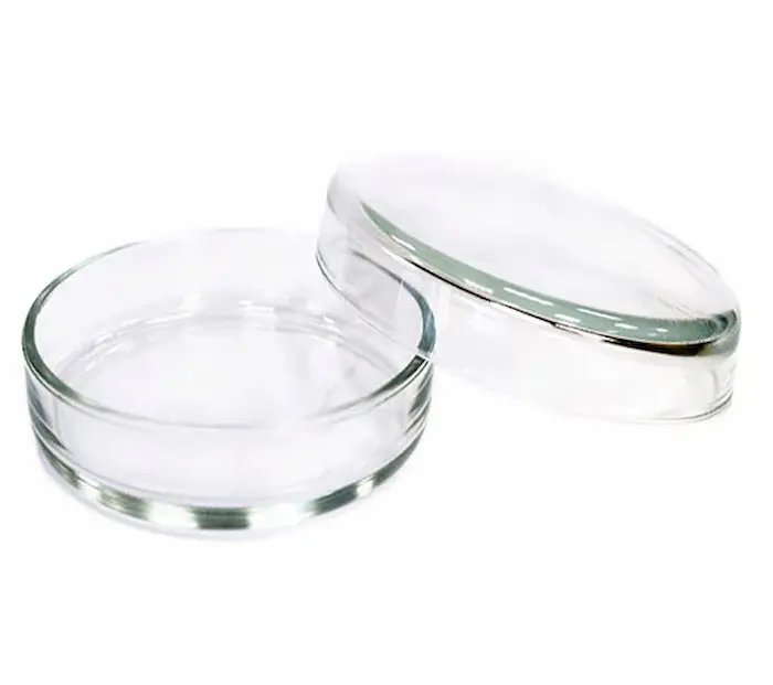 پتری دیش 60 پتری دیش سایز 60 سوپا 5465445